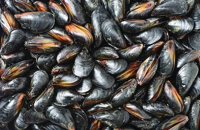 Mejillones — Pacific Protein Group